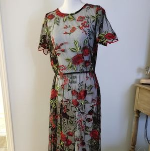 Beautiful lace embroidered over dress